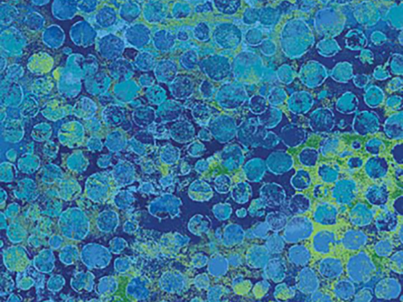 Fabric, Widebacking Solids, Blenders and Precuts