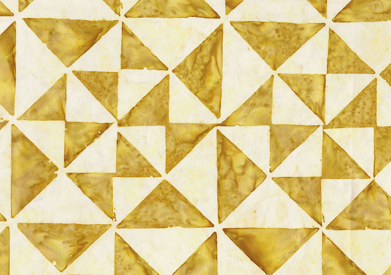 Quilt Blocks 1 Batik Wide Backing 108" B82200-55 Ginger