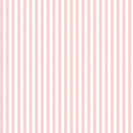 Stripe 1/4 Inch Color Babypink # C555R-BABYPI