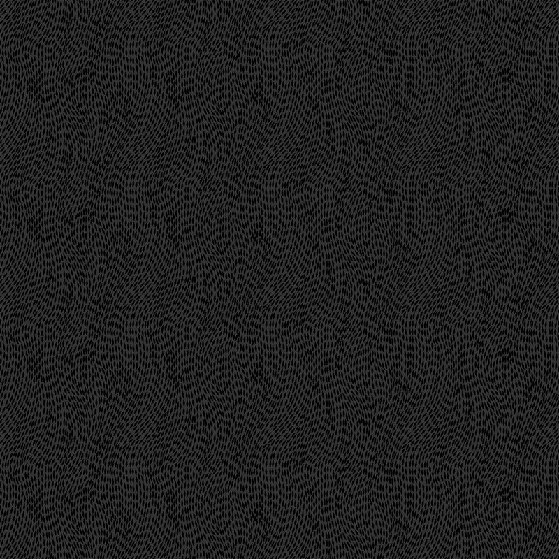 BASICALLY BLACK AND WHITE - DASH IN BLACK BY PATRICK LOSE 10012-99