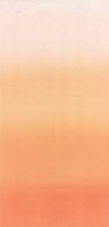 Ombre Solids by V and Co for Moda