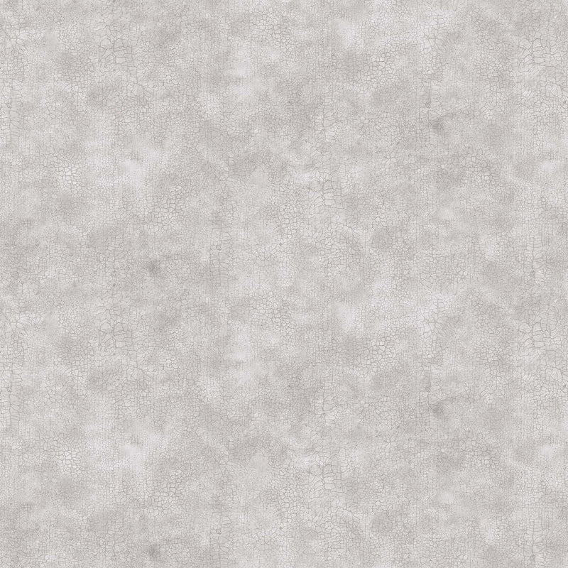 Crackle by Northcott- Wide Backing 108" -light grey B9045-91