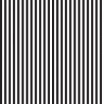 Stripe 1/4 Inch Color Black # C555R-BLACK