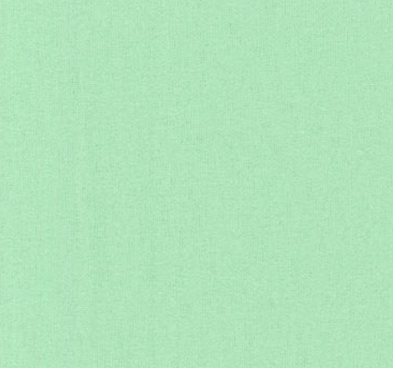 Flannel Snuggle 43/44″ MK Solid 78995 mint