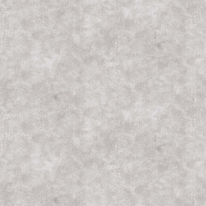 Crackle by Northcott- Wide Backing 108" -light grey B9045-91
