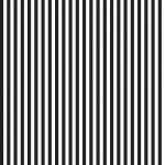 Stripe 1/4 Inch Color Black # C555R-BLACK