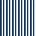 Stripe 1/4 Inch Color # C555R-navy